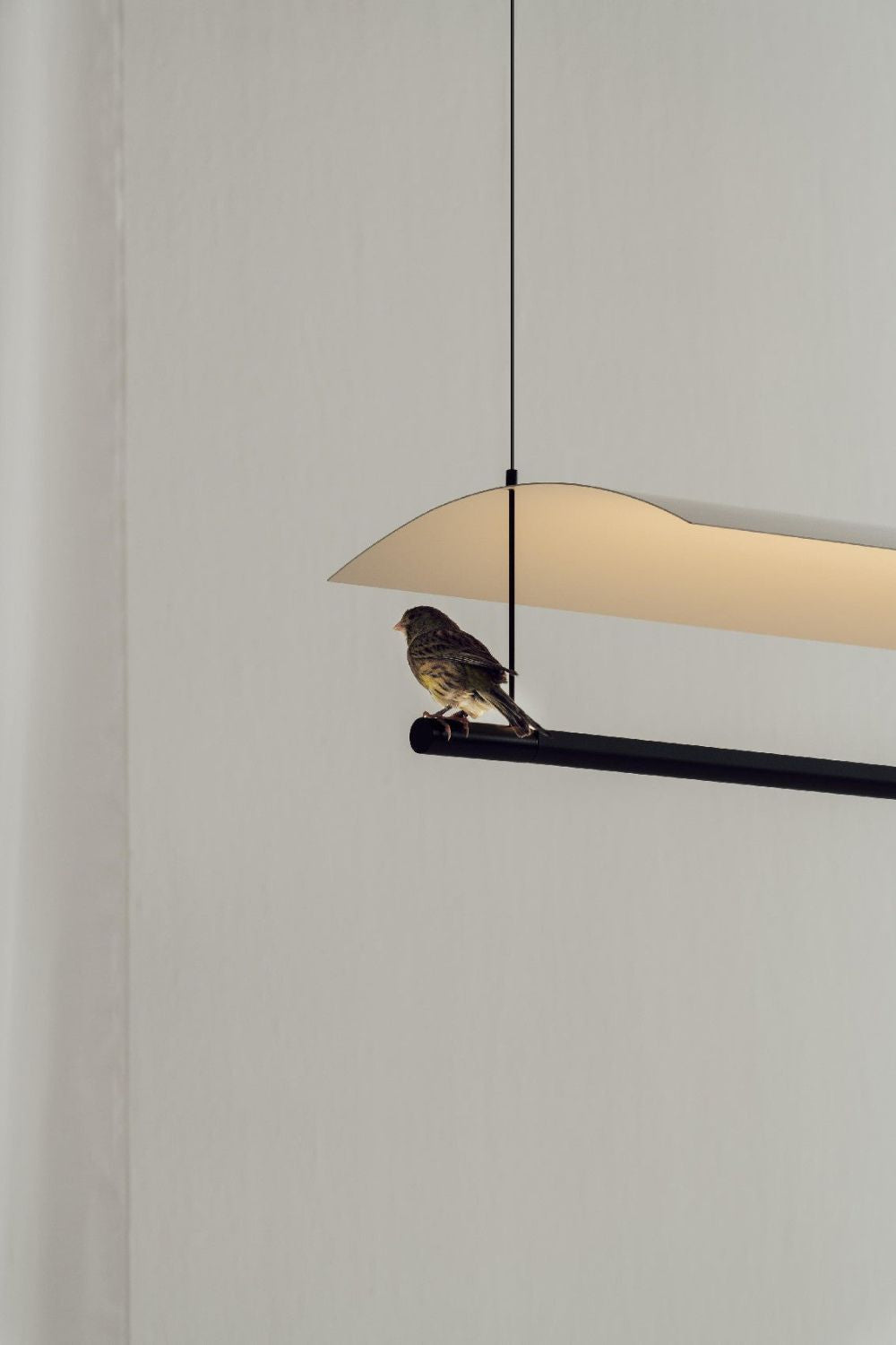 Lamina System Pendant Light